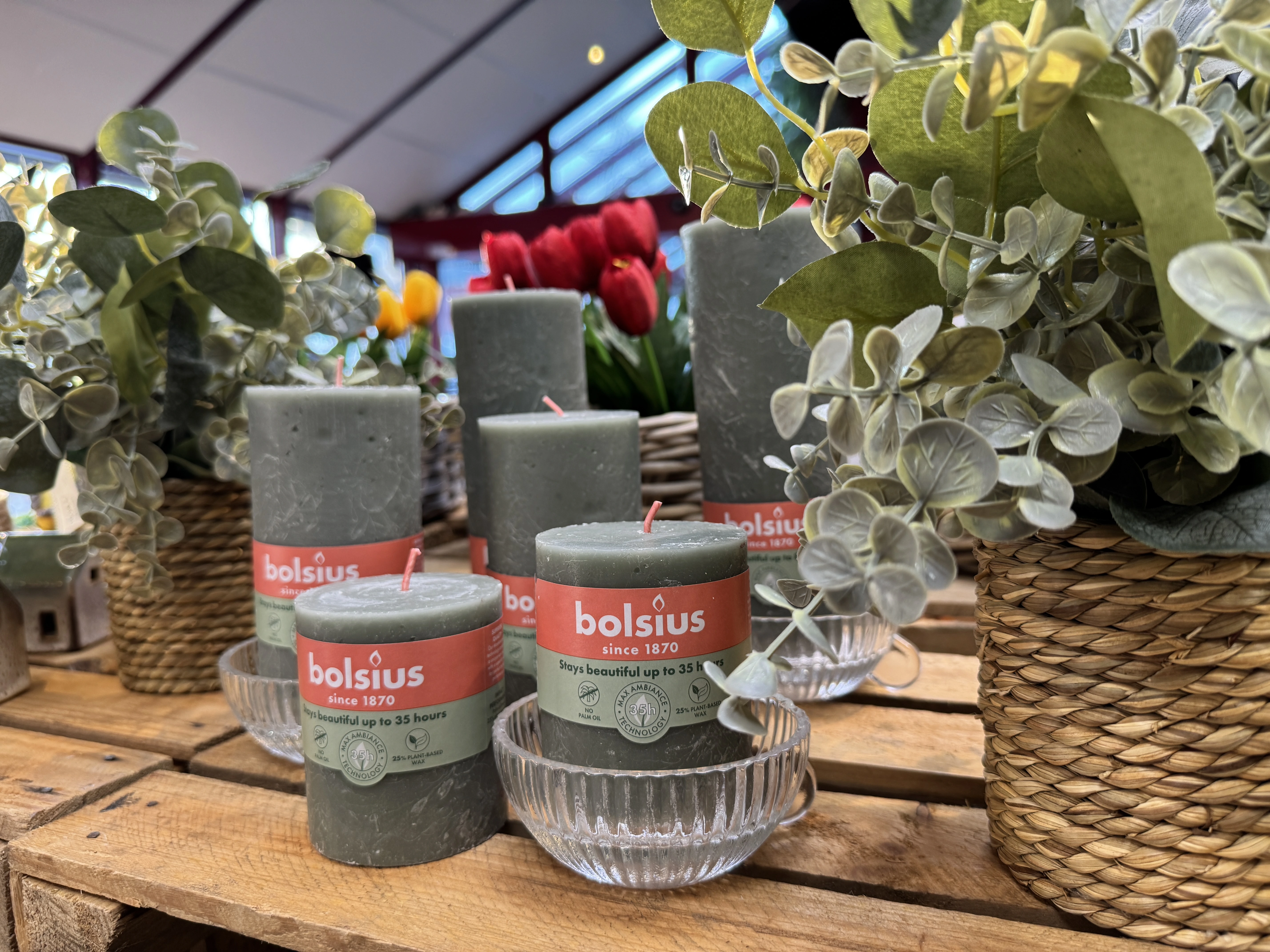 Grüne Stumpenkerzen von der Marke Bolsius in verschiedenen Größen.