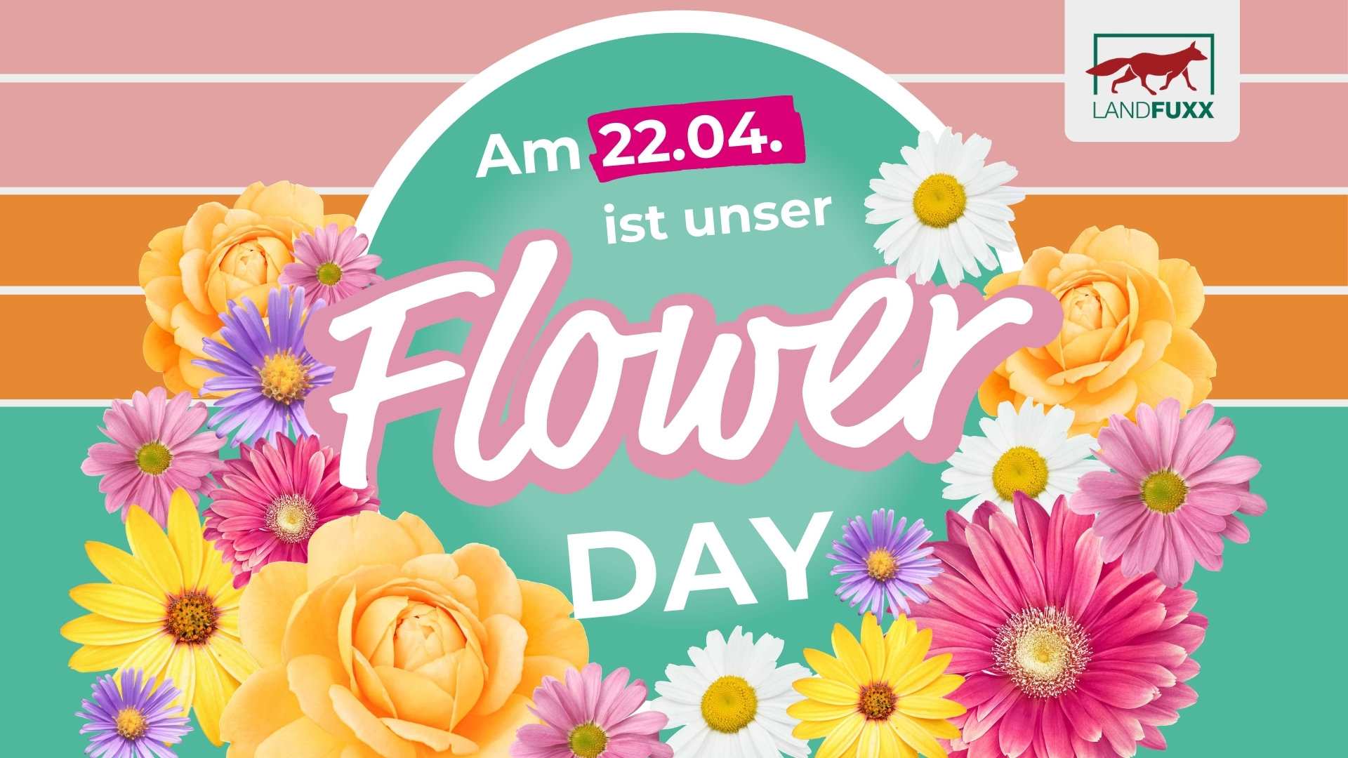 Am 22. April ist Landfuxx Much Flower Day mit 15% Rabatt auf unser Sortiment.