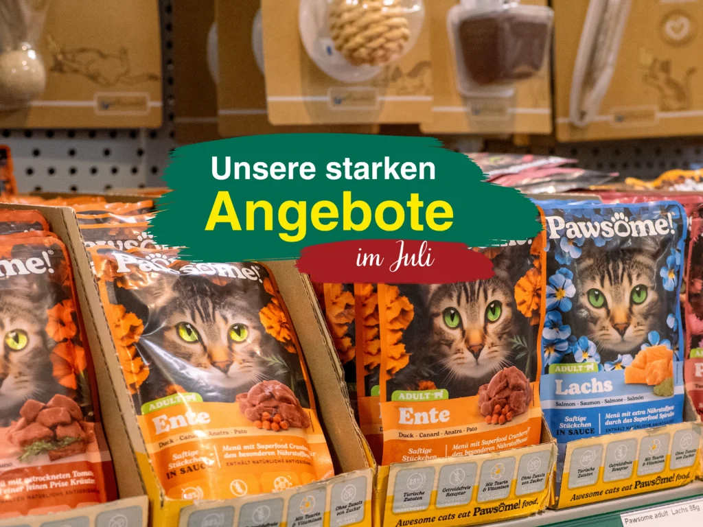 Unsere starken Angebote im Juli