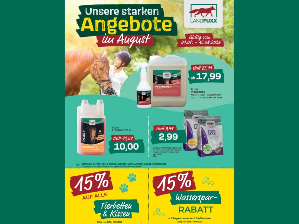 Flyer: Unsere Angebote im August in der ersten Monatshälfte