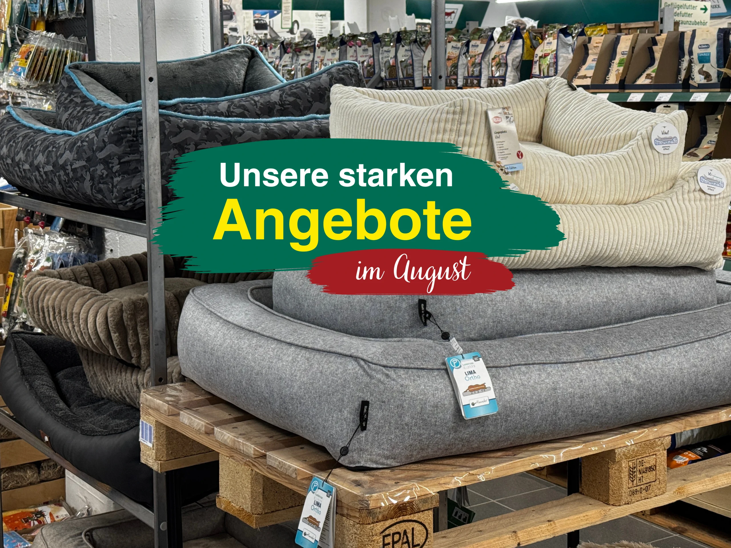 Unsere Landfuxx Much Angebote im August