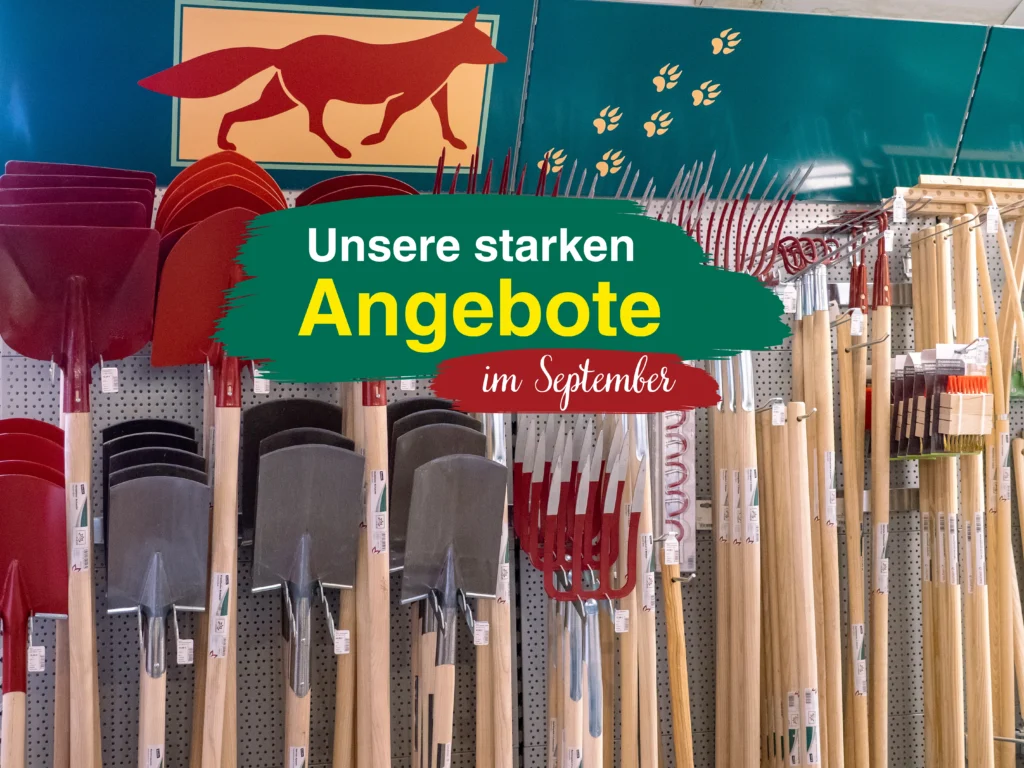Unsere starken Angebote im September