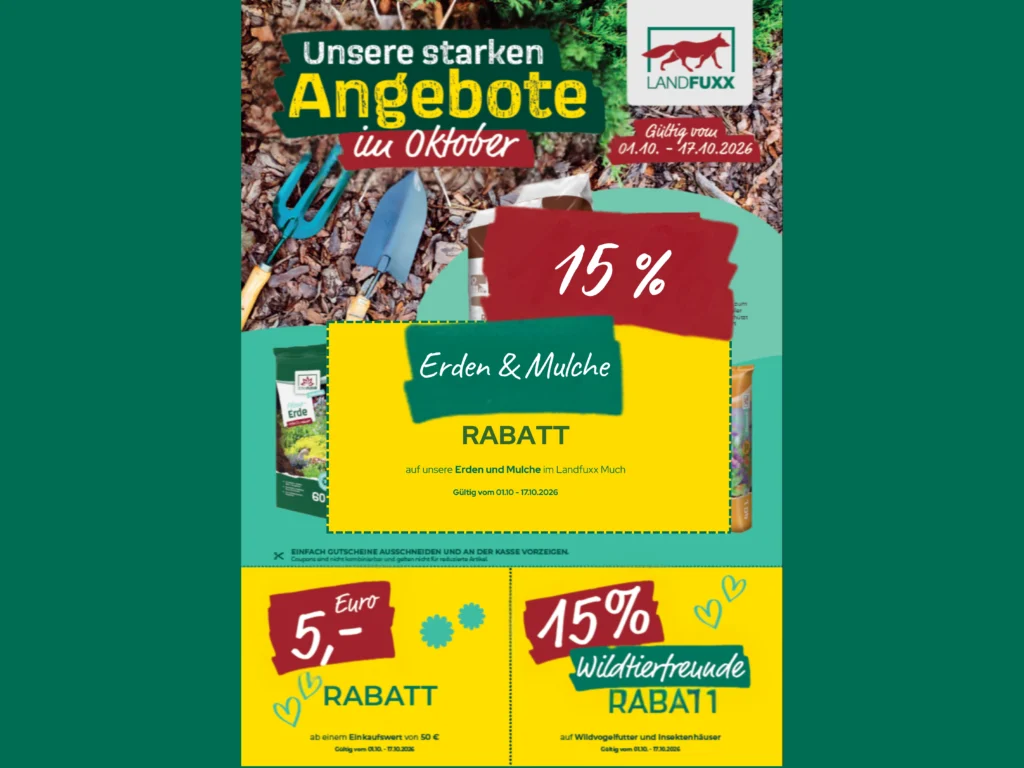 Flyer "Unsere starken Angebote im Oktober" Seite 1