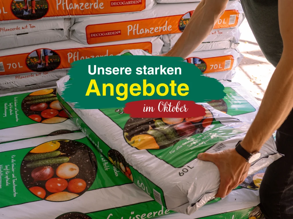 Unsere starken Angebote im Oktober