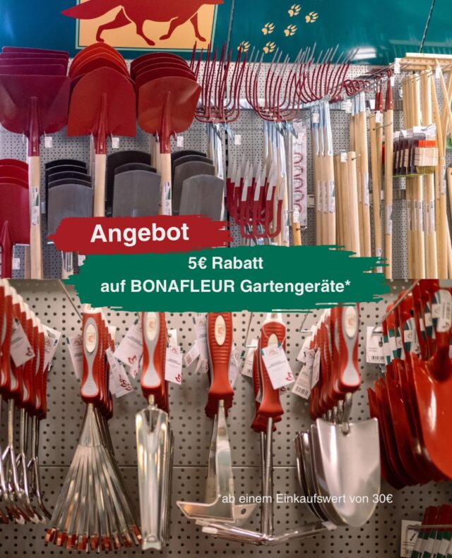 Angebot BONAFLEUR Gartengeräte 🪏

Sichert euch den Gartenhelden-Rabatt mit dem Coupon aus unserem Landfuxx Much September-Prospekt und spart 5€ auf Gartengeräte von BONAFLEUR ab einem Einkaufswert von 30€.

Den Prospekt mit allen Rabattcoupons bekommt ihr bei uns im Markt. Die Aktion läuft noch bis zum 30. September und ist nicht mit anderen Rabattaktionen kombinierbar.