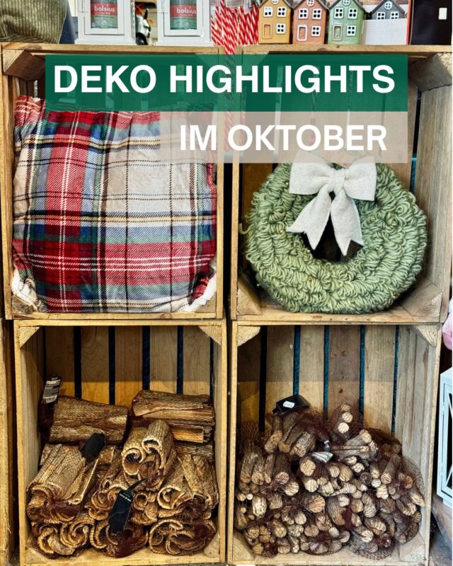 Entdecke unsere Deko Highlights im Oktober!

Je kühler es draußen wird, desto gemütlicher machen wir es uns drinnen 🥰. Mit weichen Kissen und schönen Kränzen aus Wolle und Filz, niedlichen Wichteln und anderen Waldbewohnern zieht der Herbst in dein Zuhause ein 😌.

Schau doch mal bei uns im Landfuxx Much vorbei und lass dich von tollen Wohnaccessoires und Deko Ideen inspirieren 🧡🦊

DEKO
WOHNACCESSOIRES
HERBST
BAUMARKT
MUCH
