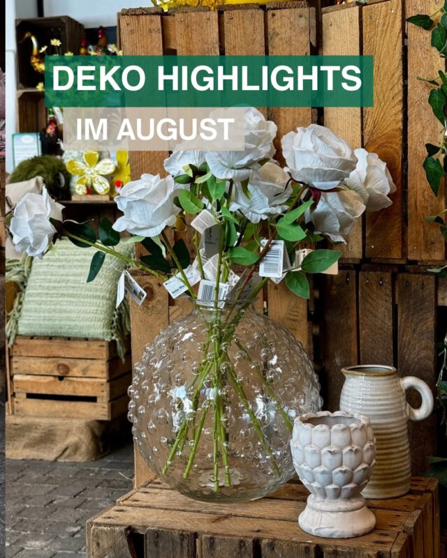 🕯️🧡 Unsere Deko Highlights im August 

Spätsommer trifft Gemütlichkeit: Bei uns im Landfuxx Much findest du jetzt viele schöne Deko-Artikel, die sowohl deine Terrasse gemütlich machen als auch dein Wohnzimmer verschönern ✨

Entdecke unsere schönen Laternen und Tischleuchten, tolle Vasen, Teelichter, Türschilder und vieles mehr ☺️

Wir freuen uns auf deinen Besuch bei uns im Markt 🦊