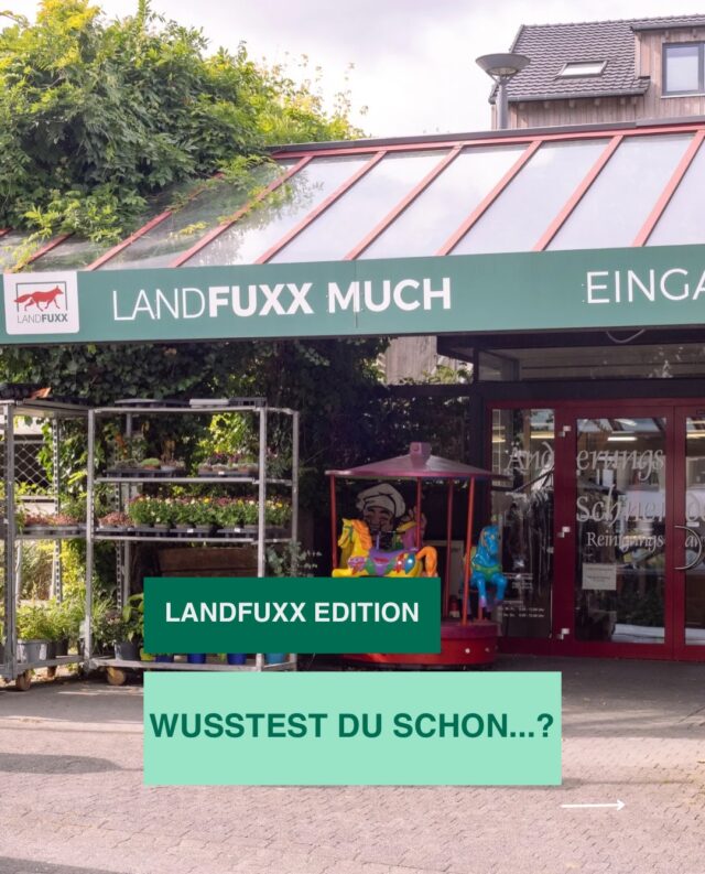 „Was?! DAS habt ihr auch im Landfuxx? 🤩“, hören wir im Markt öfter von unseren Kundinnen und Kunden. Auf unseren rund 800 m² Verkaufsfläche findet man tatsächlich einige Artikel, mit denen man vielleicht gar nicht gerechnet hätte und die für eine positive Überraschung sorgen. 🥳

Darum stellen wir euch unser Sortiment gerne genauer vor. 

Bei welchem Artikel wart ihr überrascht? Schreibt es uns gerne in die Kommentare. 🧡🦊