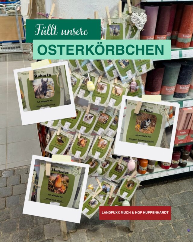 Gemeinsam mit euer Hilfe möchten wir den Tieren vom @hof.huppenhardt volle Osterkörbchen ermöglichen 🐰🧡

Ihr könnt den Tieren jetzt einen Wunsch aus dem Landfuxx Much erfüllen ☺️. Vielleicht möchtest du Nika ein paar Katzenleckerlis schenken? 🐈 Oder Herkules einen Sack Sand? 🐓

So macht ihr mit:

➡️ Wunschkarte vom Aufsteller aussuchen 
➡️ Karte zur Kasse bringen und Artikel bezahlen 
➡️ Wir stellen alle gesammelten Artikel für Hof Huppenhardt bereit 

Schon zu Weihnachten hat die Aktion super funktioniert und ihr habt ganz viel Wünsche erfüllt! 👏🏻👏🏻

Wer ist dieses Mal wieder dabei? 🧡