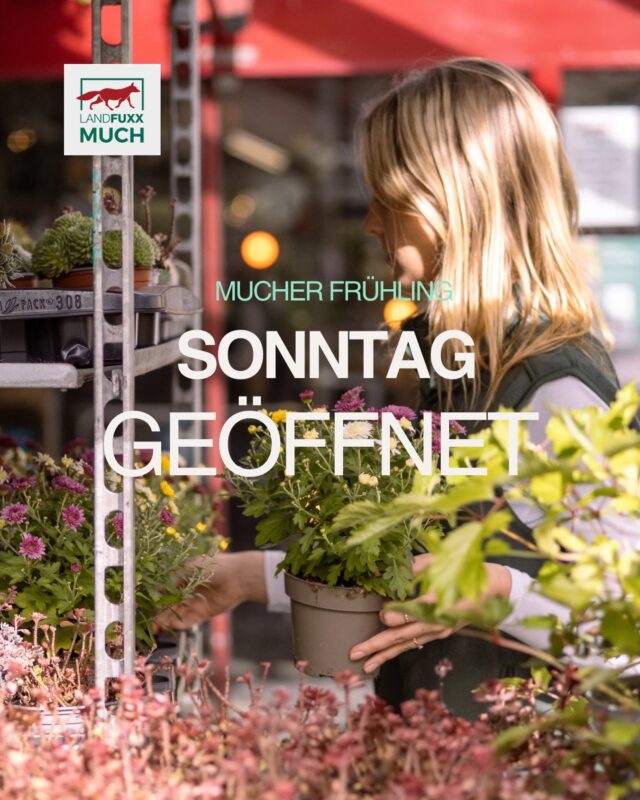 📅 26.04.2026: Verkaufsoffener Sonntag 
🕖 13:00 Uhr bis 18:00 Uhr 

Am Sonntag, 26. April, ist Mucher Frühling und auch der Landfuxx Much ist dabei. Wir haben von 13:00-18:00 Uhr für euch geöffnet!

Schaut doch mal bei uns vorbei und sagt es gerne weiter! 🧡

Wir freuen uns auf euch 🦊
