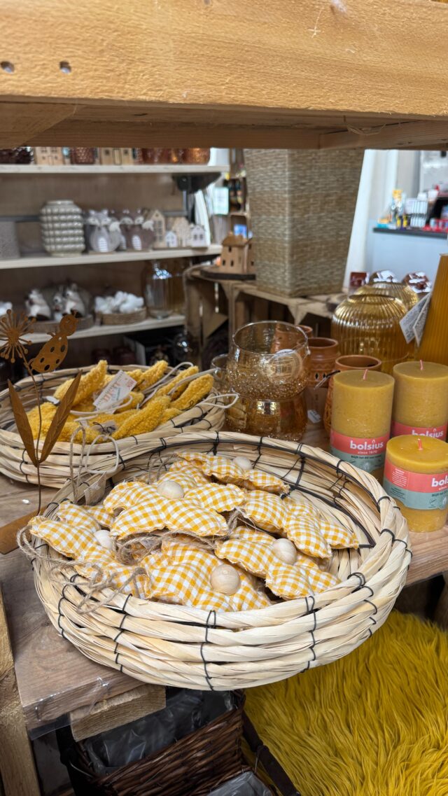 Landfuxx Home 💛
Warme Gelb- und Orangetöne, sanftes Licht & liebevolle Details 🕯️🌼
Während der Januar draußen kalt und grau ist, sorgen hochwertige Vasen, Kerzen, Kissen und frühlingshafte Akzente mit Blumen & Schmetterlingen für Gemütlichkeit und Vorfreude auf den Frühling.

✨ Macht es euch zuhause schön – wir haben die passenden Lieblingsstücke für euch.
👉 Speichern für später oder kommt vorbei und lasst euch inspirieren 🦊💚

#immererstzumlandfuxx #landfuxxmuch #cozyvibes #januardeko #dekoliebe