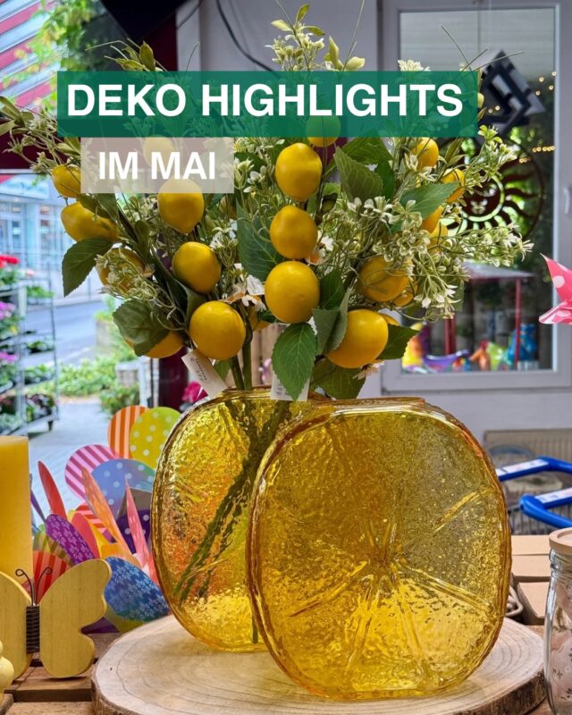 🍋 Fruchtige Deko in saftigen Farben 🍋

Auch diesen Sommer ist Deko im Zitronen- oder Orangen-Look wieder voll im Trend. Und auch sonst sind bei unseren Landfuxx Much Deko Highlights im Mai viele knallige Farben dabei 🍊🍋‍🟩🌸.

Folge uns gerne für mehr Deko Inspiration und besuche uns doch bald mal wieder im Landfuxx 🦊

Wir freuen uns auf dich! 🧡