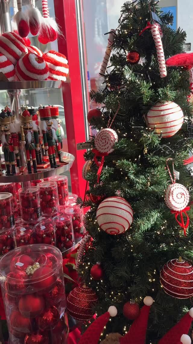 Nur noch knapp zwei Monate bis Weihnachten 🤭✨
Damit ihr euer Zuhause in den nächsten Wochen richtig gemütlich und stimmungsvoll schmücken könnt, findet ihr bei uns im Landfuxx Much jetzt eine große Auswahl an Weihnachsdeko 🎄

Was gefällt euch am besten? 🧡🦊

WEIHNACHTEN 
WEIHNACHTSDEKO 
LANDFUXX 
BAUMARKT 
MUCH