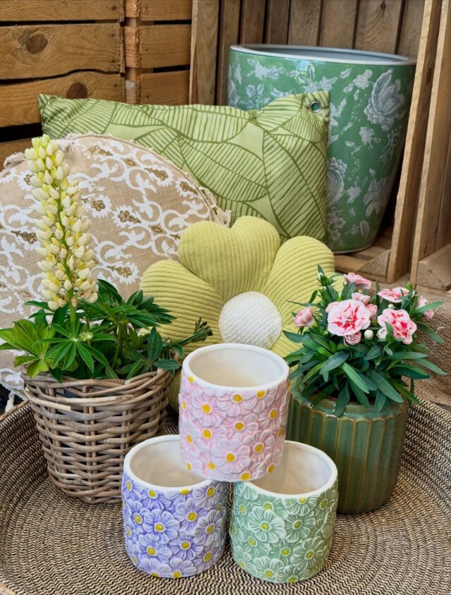 🌞🪴 Lass deinen Garten mit frischen Blumen, schönen Töpfen, bunter Keramik und gemütlichen Kissen und Textilien zu einer echten Sommer-Oase werden! 🧺🍋

Passende Deko, Pflanzen und Inspiration findest du bei uns im Landfuxx Much! 🦊🧡