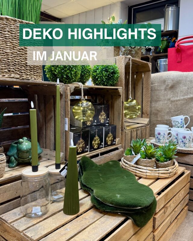 Grau war gestern 🌿✨
Mit viel Grün, Kerzen & stimmungsvollem Licht holen wir uns gute Laune nach Hause — auch im Januar.

Kommt vorbei und lasst euch inspirieren 🦊💚

#immererstzumlandfuxx #landfuxxmuch #landfuxx #wintervibes #dekoliebe