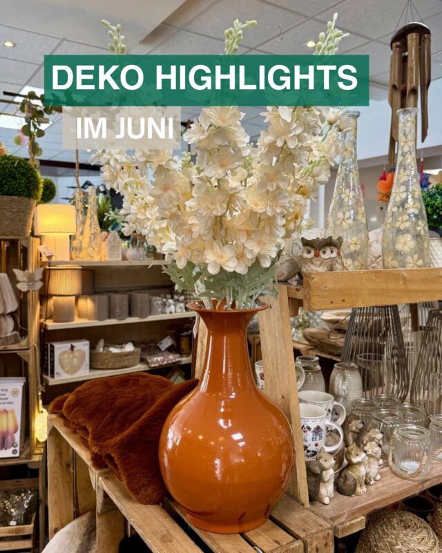 ✨ Unsere Deko Highlights im Juni ✨ 

Bei uns im Landfuxx Much findet ihr jetzt viele schöne Vasen in unterschiedlichen Farben und Formen. Egal, ob alleine als Eyecatcher oder mit einem schönen Strauß dekoriert, die Vasen sogen für einen ganz besonderen Akzent in eurem Zuhause.🏺

Wir freuen uns auf euren Besuch bei uns im Markt! 🦊🧡