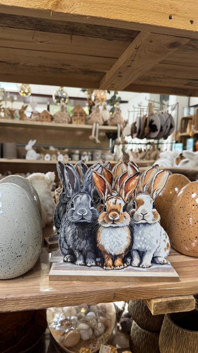 Jetzt ist Zeit für Osterdeko! Bei uns im Landfuxx Much findest du schöne Osterhasen, Ostereier und Anhänger mit denen du dich und deine Liebsten auf das Osterfest einstimmen kannst 🐣

Folge uns gerne für mehr Inspiration rund um Deko und DIY!

Wir freuen uns auf deinen Besuch 🦊💚